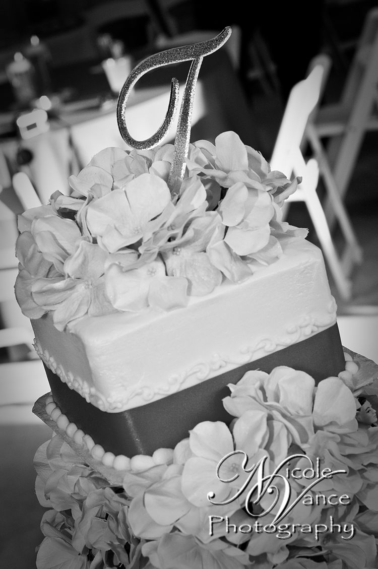 Richmond Wedding Photographer | Nicole Vance Photography (81)